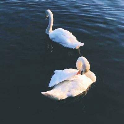 爱体育官方app下载