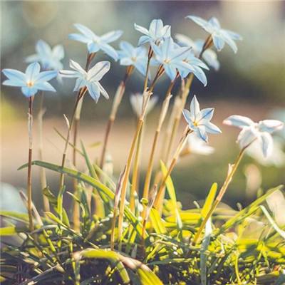 ManBetx万博全站APP最新版