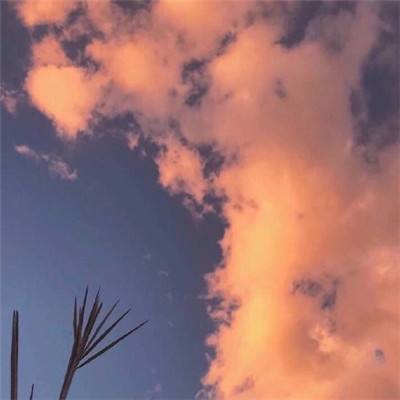 BOB体育综合官方平台官网App